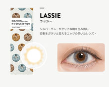 Load image into Gallery viewer, 日本🇯🇵渡邊直美（Naomi Watanabe）代言的N’s Collection 日拋美瞳～色號Lassie -0.00D
