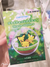 Load image into Gallery viewer, 日本🇯🇵 Re-ment Pokemon Terrarium Collection 9寶可夢盲盒
