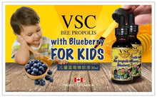 Load image into Gallery viewer, 加拿大🇨🇦 VSC 兒童藍莓蜂膠30ml

