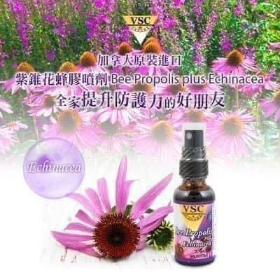 加拿大🇨🇦VSC 紫錐花蜂膠噴劑 30ml
