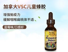 Load image into Gallery viewer, 加拿大🇨🇦 VSC 兒童藍莓蜂膠30ml
