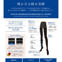 Load image into Gallery viewer, 日本GUNZE SABRINA 加壓塑腿 120D天鵝絨連褲襪L~LL
